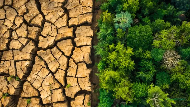A visual comparison of degraded land versus a thriving Forest Garden, showing the systemic change that Trees for the Future drives.